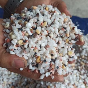 Mix pebbles for aquarium